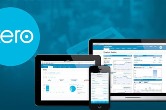 provide xero book keeping