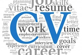 make a professional and attractive CV