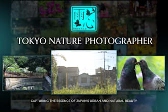 deliver japan based photography of nature or wildlife