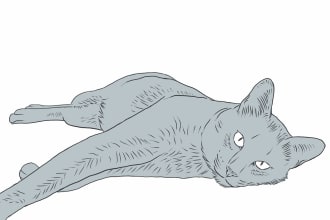 draw any breed of cat