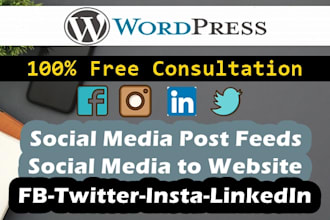 add social media feed in wordpress website or blog