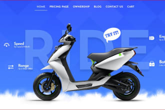 develop a professional multi vendor marketplace website