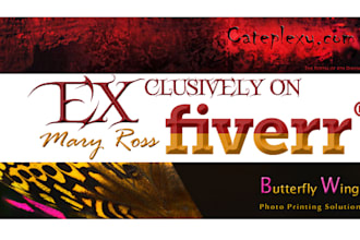 design a professional HEADER banner for your web site
