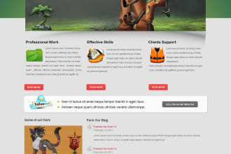 csS codding and layout for website