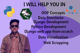 develope professional django web apps and python scripts
