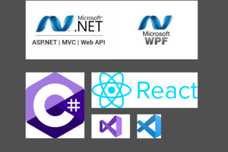 do full stack dot net development mvc web API react and more
