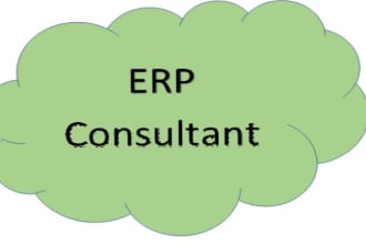 be an erp consultant