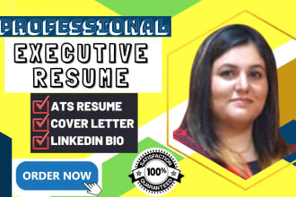 write executive, director, and all c level resume