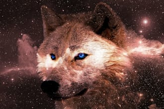 do free top rated graphic designing and digital graphic works
