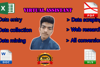 do perfect data entry, web research and be your virtual assistant in 24 hours
