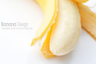 design an Attractive Professional web banner or header