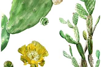 draw you a scientific botanical illustration in watercolor