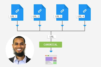 fix canonical issues and redirect all urls 1 canonical URL