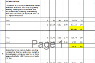 make excel sheet with professional format and automated with formulas