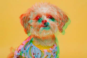 convert your any 2d image to 3d anaglyph image