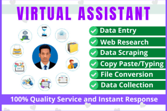 be an ideal virtual assistant, digital marketer, data entry, copy paste, SEO