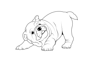 draw a detail vector line art animal 24 hours