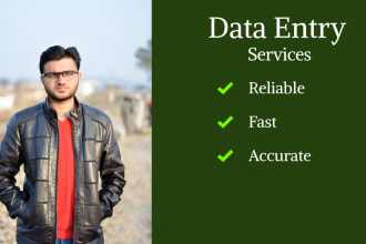 do data entry, excel, typing, copy paste, typing work