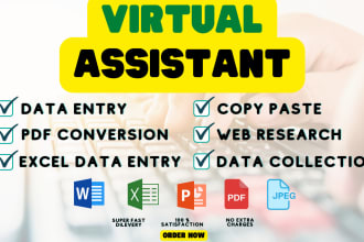 do accurate data entry, web research, copy paste and excel data entry jobs