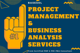do business systems analysis and design for your software requirements