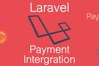 integrate payment gateways in laravel project, shopify store or wordpress site