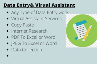 be virtual assistant,perform data entry,email marketing