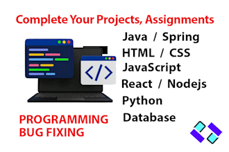 complete your software projects or assignments in java, javascript, python etc