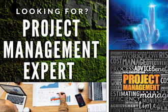 provide content writing in project management