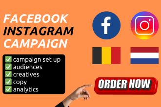 set up a facebook and instagram campaign with high quality ads