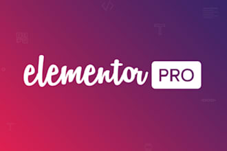 fix elemanator pro issue  elementor customization