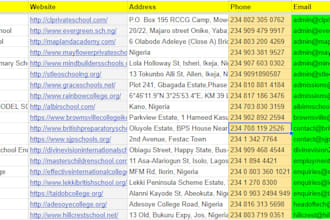 collect company information, email and phone from website