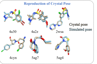 assist you in molecular docking