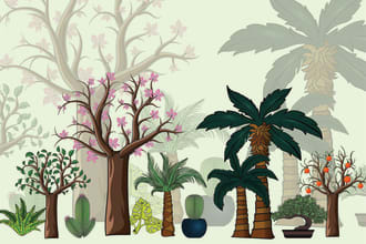 create plants, fruits, vegetable and flowers illustrations