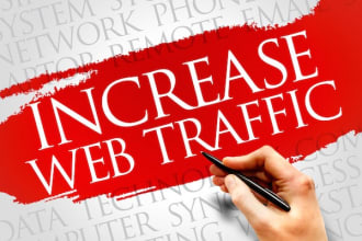 drive real traffic to your website for 1 month