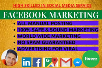 serve facebook marketing and do business promotion