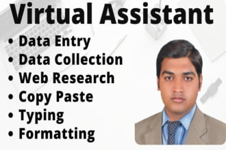 do data entry, excel data entry, web research, copy paste