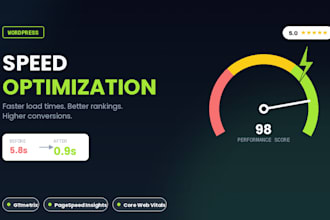 optimize your wordpress website speed and fix performance issues