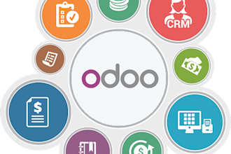 do odoo pro solutions v10 to v18 support customization