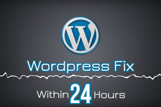 fix wordpress bugs, issues, errors and CSS issues