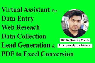 do data entry, web research, copy paste, data collection and excel data entry