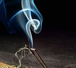 send you a guide of The Prophetic Medicine