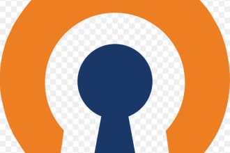 setup openvpn for secure remote access