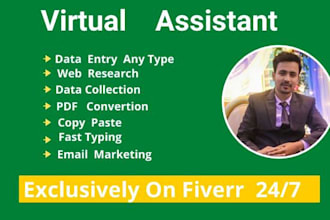 do data entry web research typing copypaste