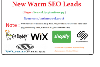 provide warm SEO leads on daily basis