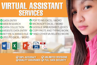 do data entry, web research, pdf to excel, copy paste, typing, excel data entry