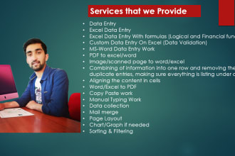 do excel or word data entry with accurately