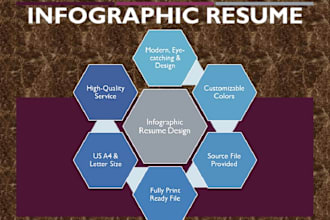design an attractive infographic resume for you