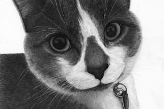 draw a pet pencil drawing