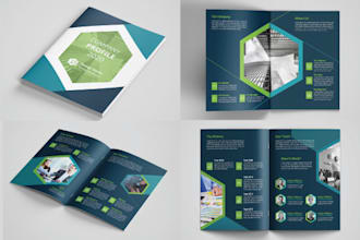do company profile, brochure, booklet, report  with 24 hours