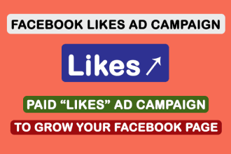 run a facebook ad campaign to grow fb page likes